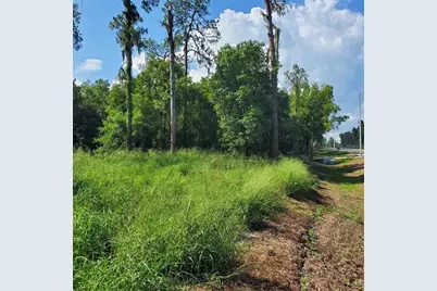 Pollard Road, Winter Haven, FL 33884 - Photo 16