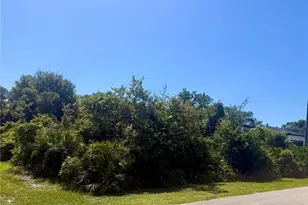 2228 Wakefield St, Port Charlotte, FL 33948 - Photo 1