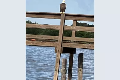 1002 Gardenia Drive, Lake Wales, FL 33898 - Photo 12