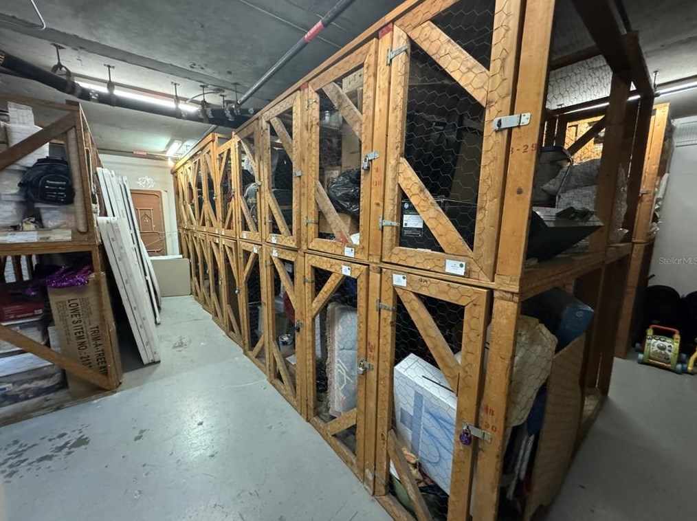 3301 Bayshore Blvd, Tampa FL  33629-8875 exterior