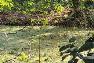 4450 Old Berkley Rd, Auburndale, FL 33823 - Photo 40