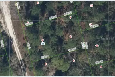 213 Imagination Drive, Lake Placid, FL 33852 - Photo 1