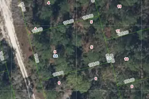 213 Imagination Dr, Lake Placid, FL 33852 - Photo 1