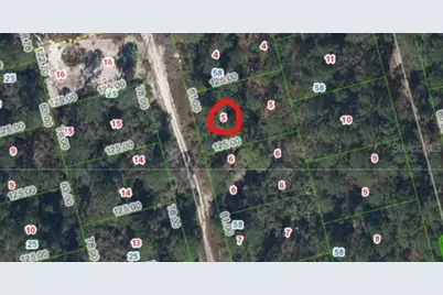 213 Imagination Drive, Lake Placid, FL 33852 - Photo 2