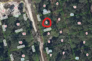 213 Imagination Dr, Lake Placid, FL 33852 - Photo 2