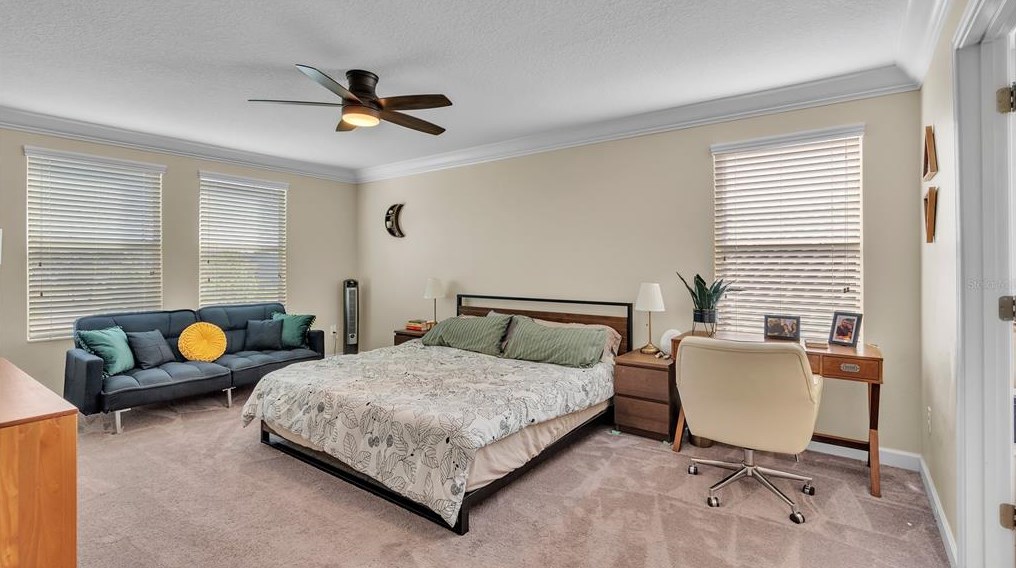 11928 Frost Aster Dr, Riverview FL  33579 exterior