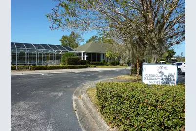 311 Nolane Lane, Polk City, FL 33868 - Photo 12