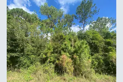 1561 Vienna Square Drive, Winter Haven, FL 33884 - Photo 34