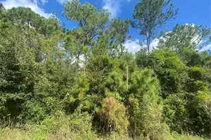 1561 Vienna Square Dr, Winter Haven, FL 33884 - Photo 34