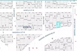 515 W Magnolia St, Lakeland, FL 33815 - Photo 2