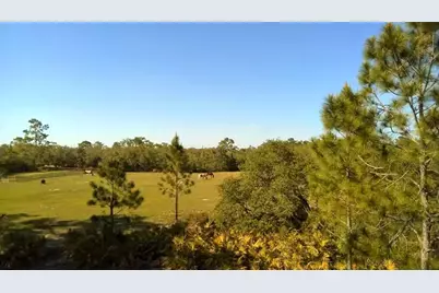 2772 Indian Pipes Trail, Frostproof, FL 33843 - Photo 30