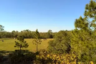 2772 Indian Pipes Trail, Frostproof, FL 33843 - Photo 30