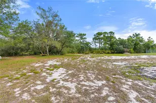 2772 Indian Pipes Trail, Frostproof, FL 33843 - Photo 34