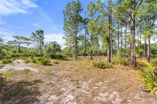 2772 Indian Pipes Trail, Frostproof, FL 33843 - Photo 32