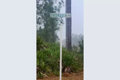 619 Calendula Drive, Indian Lake Estates, FL 33855 - Photo 4