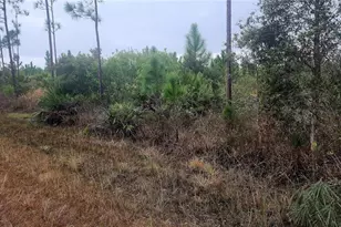 619 Calendula Dr, Indian Lake Estates, FL 33855 - Photo 1