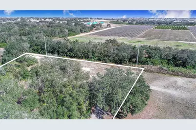 Daniel Street, Dundee, FL 33838 - Photo 4