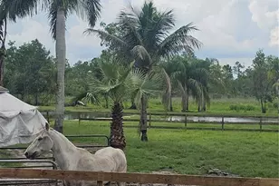 208 Limpkin Ln, Frostproof, FL 33843 - Photo 6