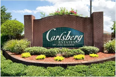 524 Lake Suzanne Drive, Lake Wales, FL 33859 - Photo 58