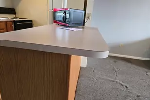 1432 Thousand Roses Dr S, Lake Wales, FL 33853 - Photo 8