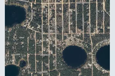 Maltas Avenue, Interlachen, FL 32148 - Photo 2