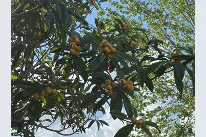 6107 Grand Oaks Drive SE, Winter Haven, FL 33884 - Photo 48