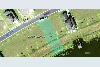 160 Caladium Avenue, Lake Alfred, FL 33850 - Photo 1