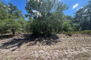 Oleander Dr, Indian Lake Estates, FL 33855 - Photo 1