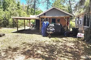 14450 NE 192nd Ln, Fort Mc Coy, FL 32134 - Photo 10