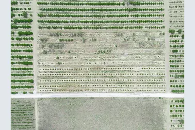 Gilbert Road, Lake Wales, FL 33898 - Photo 16