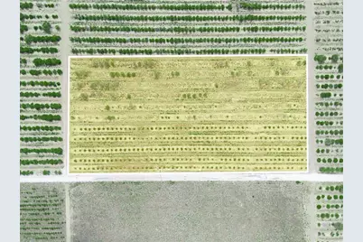 Gilbert Road, Lake Wales, FL 33898 - Photo 4