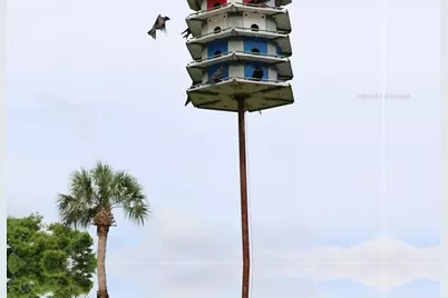 700 Mirror Terrace NW #303, Winter Haven, FL 33881 - Photo 32