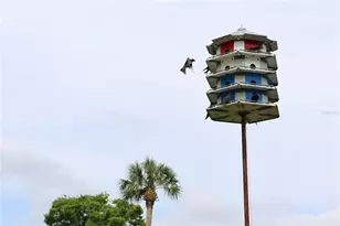 700 Mirror Terrace NW, Winter Haven, FL 33881 - Photo 32