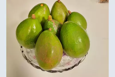 5702 Breskin Drive, Orlando, FL 32839 - Photo 20