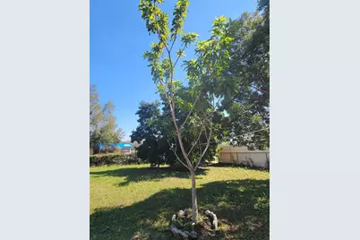 5702 Breskin Drive, Orlando, FL 32839 - Photo 28