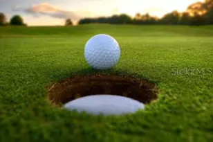 4488 Turnberry Ln, Lake Wales, FL 33859 - Photo 42