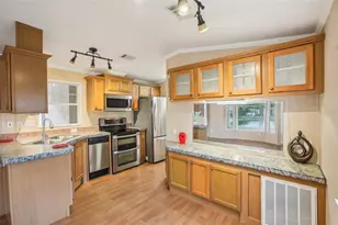 6621 La Mesa Rd, Land O Lakes, FL 34637 - Photo 22