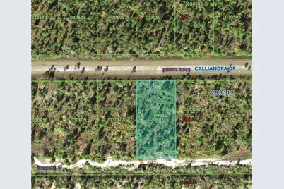 1015 Calliandra Drive, Indian Lake Estates, FL 33855 - Photo 2