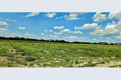 Mammoth Grove Road, Lake Wales, FL 33898 - Photo 4