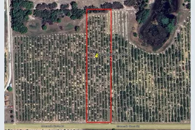Mammoth Grove Road, Lake Wales, FL 33898 - Photo 1