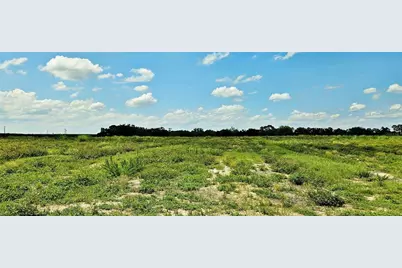 Mammoth Grove Road, Lake Wales, FL 33898 - Photo 2