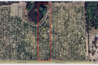 Mammoth Grove Road, Lake Wales, FL 33898 - Photo 1