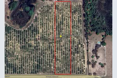 Mammoth Grove Road, Lake Wales, FL 33898 - Photo 1