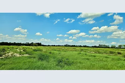 Mammoth Grove Road, Lake Wales, FL 33898 - Photo 6