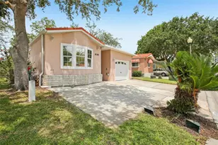 6621 La Mesa Rd, Land O Lakes, FL 34637 - Photo 46