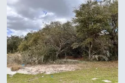 1331 Congo Drive, Poinciana, FL 34759 - Photo 2