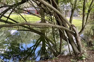 1790 Turtle Rock Dr, Lakeland, FL 33803 - Photo 40