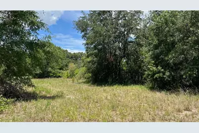 Abundant Life Drive, Auburndale, FL 33823 - Photo 4