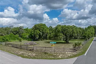 914 Mangham Rd, Babson Park, FL 33827 - Photo 68