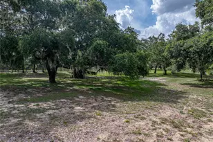 914 Mangham Rd, Babson Park, FL 33827 - Photo 64